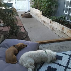 Meet your Posher, Monica